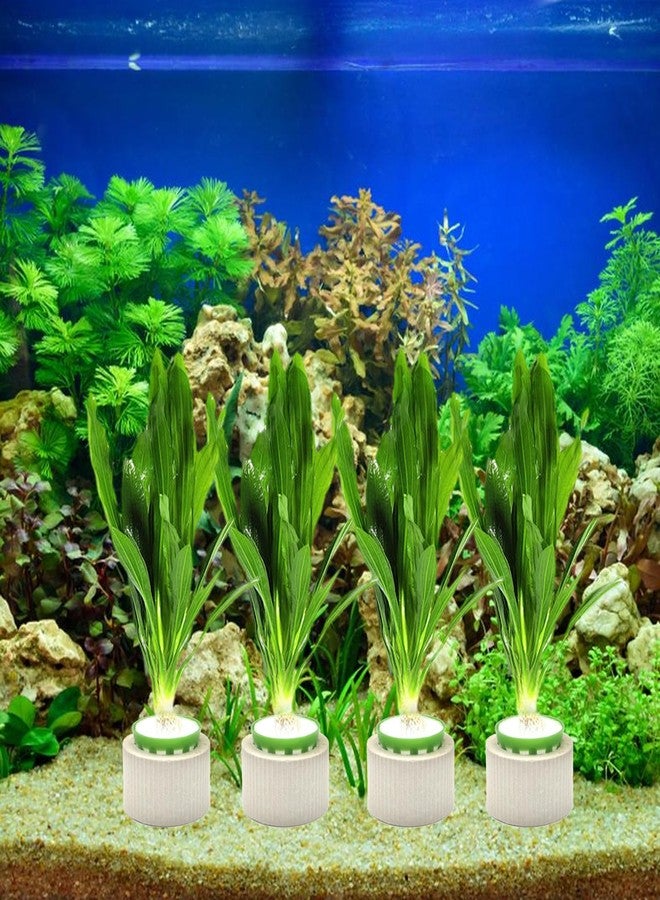 HEHIPLE 12 Pack Aquarium Plant Weights, Aquatic Plants Fixed Ring Set, Anti-Floating Ceramic Aquarium Plant Rings, Aquarium Landscape Decoration Fish Tank Accessories 1.8 x 1.3 Inch - Image 5